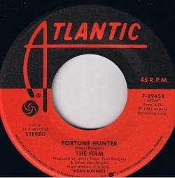 The Firm : Fortune Hunter The Firm : Fortune Hunter